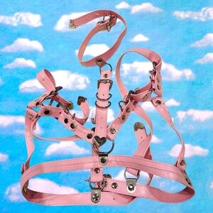 Pink Leather Harness